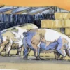 pigs2 pigs2
