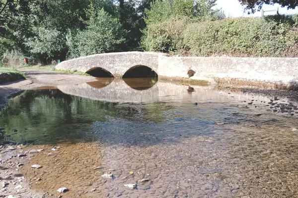 David Webb bridge