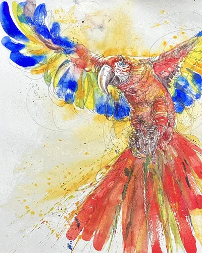 Watercolour macaw