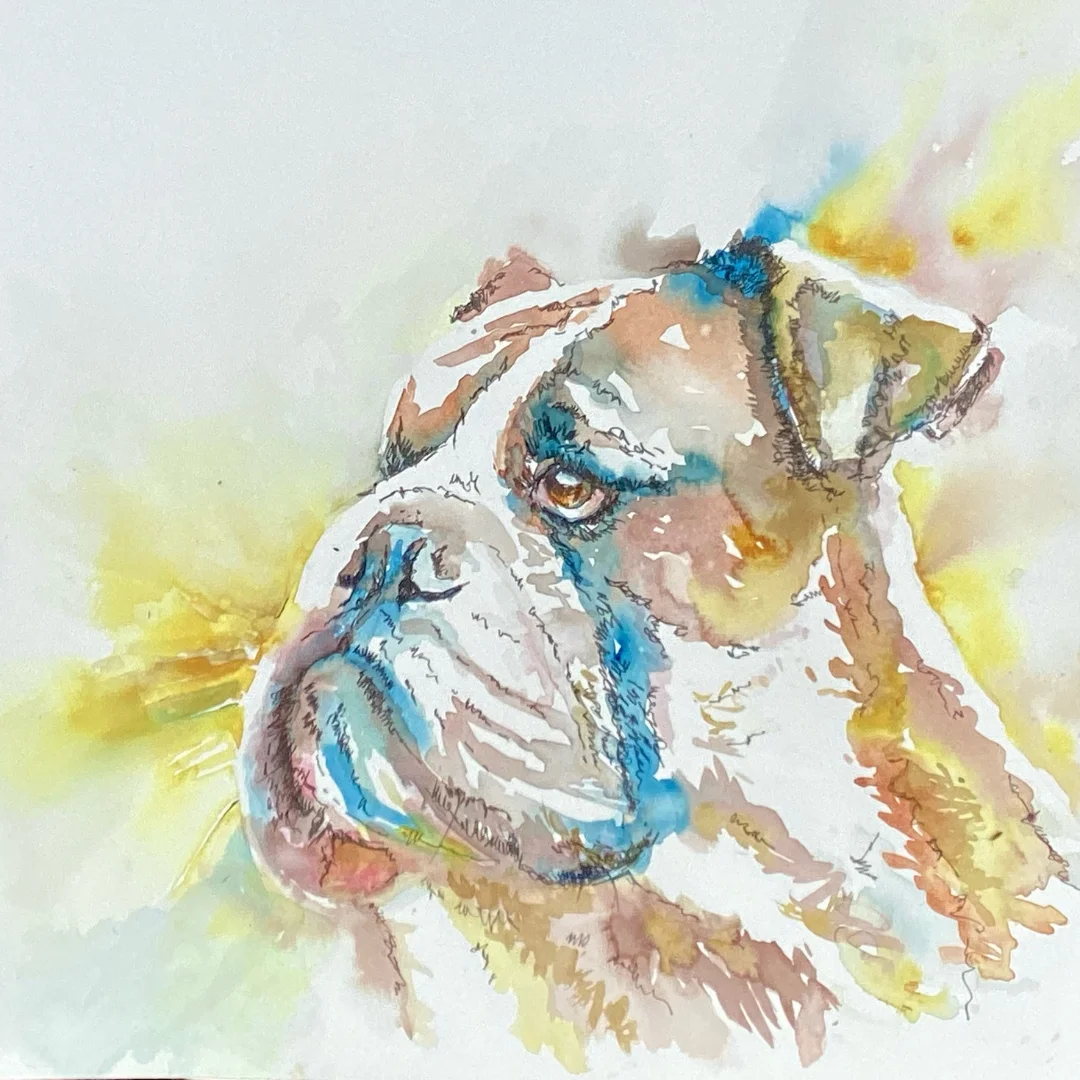 Watercolour bulldog