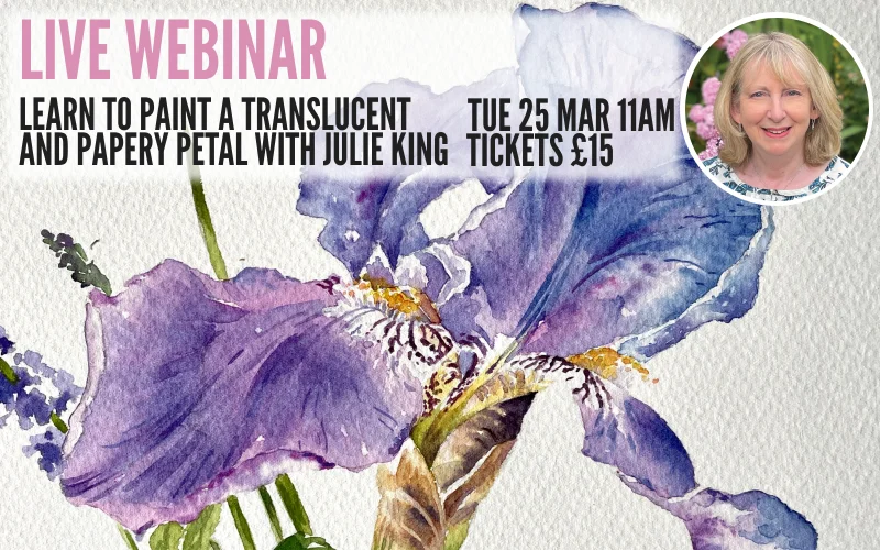 Creating long fur in pastels with Naomi Jenkin