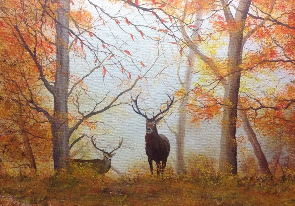 The stag The stag