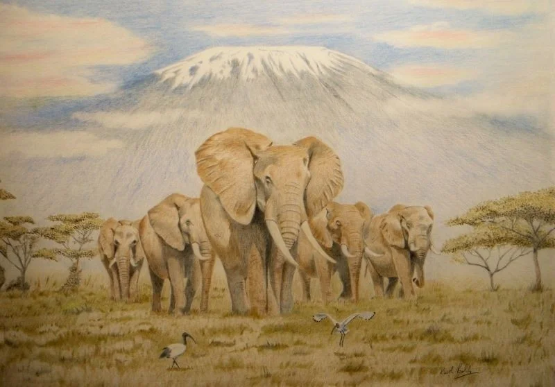 Going to the waterhole Going to the waterhole