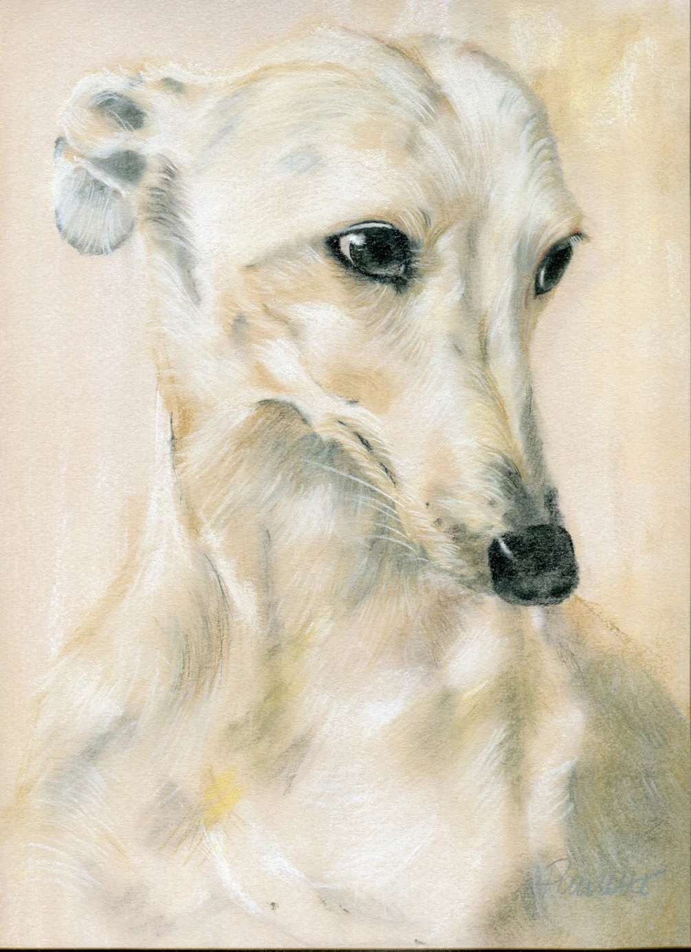 Greyhound Ghost Greyhound Ghost