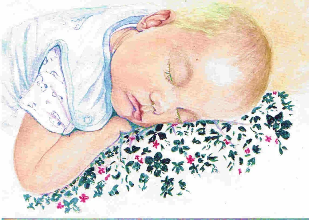 Edward snoozing Edward snoozing