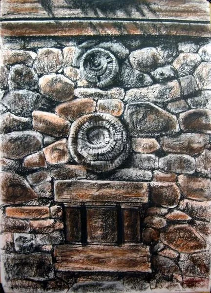 Ammonite Wall Ammonite Wall