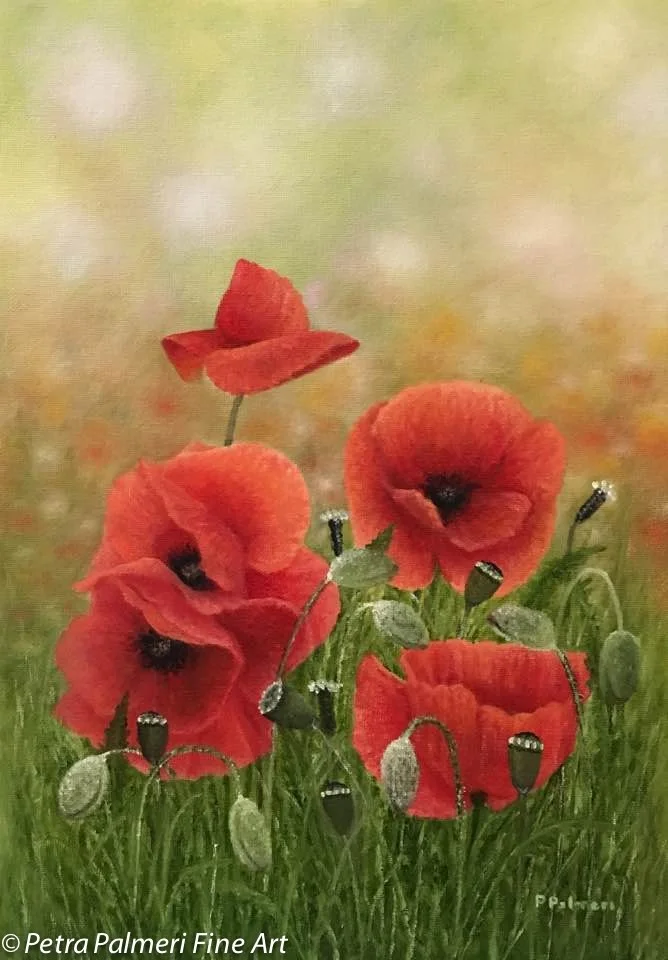 Poppies Poppies