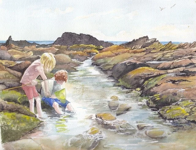 Rock Pool Summer Rock Pool Summer