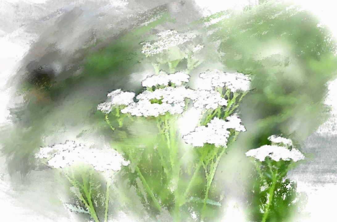 06A678FE-9985-4EC8-91E2-8717DC12B981_1_105_c 2