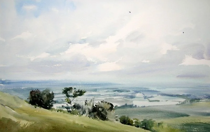Swifts over Lewes Down, Sussex. Swifts over Lewes Down, Sussex.