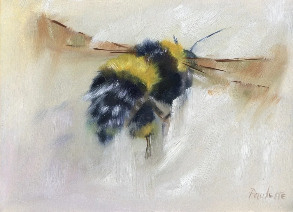 Mystical Bee Mystical Bee