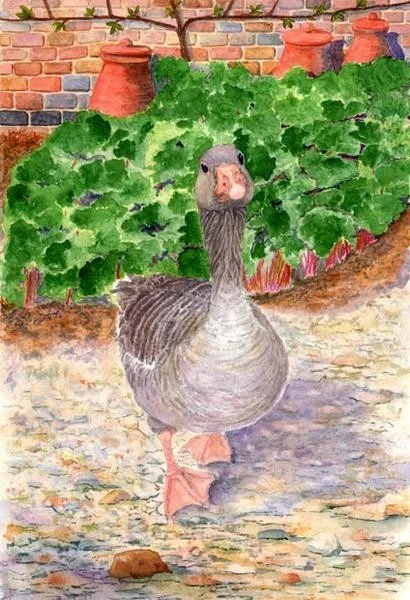 GOOSE IN THE GARDEN GOOSE IN THE GARDEN