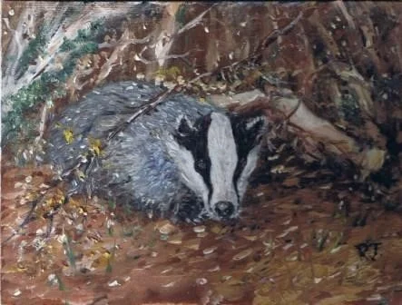 Badger in the Copse Badger in the Copse