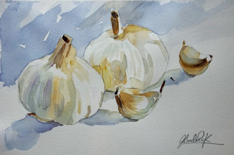 Garlic Bulbs Garlic Bulbs