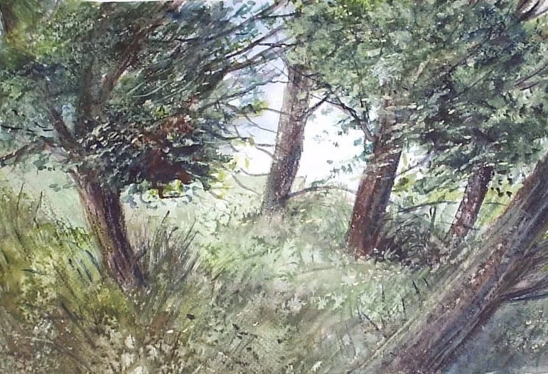 Trees on a Misty Hill Trees on a Misty Hill