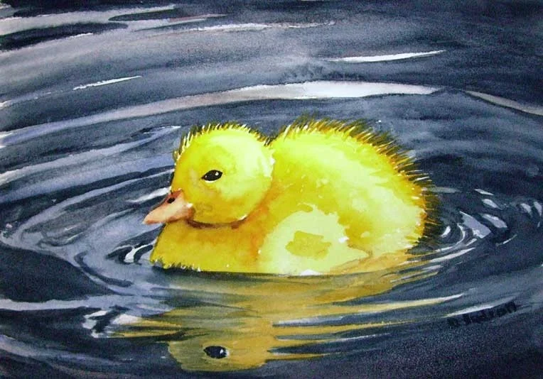 Quack Quack
