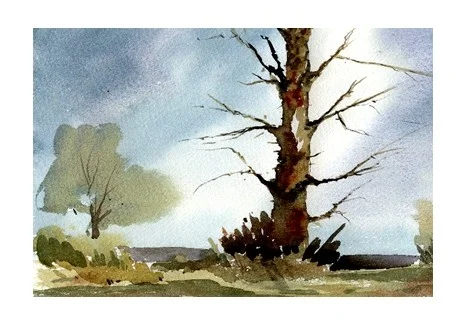 lonely tree lonely tree