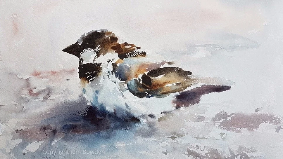 Down in the dust. Male House Sparrow Down in the dust. Male House Sparrow