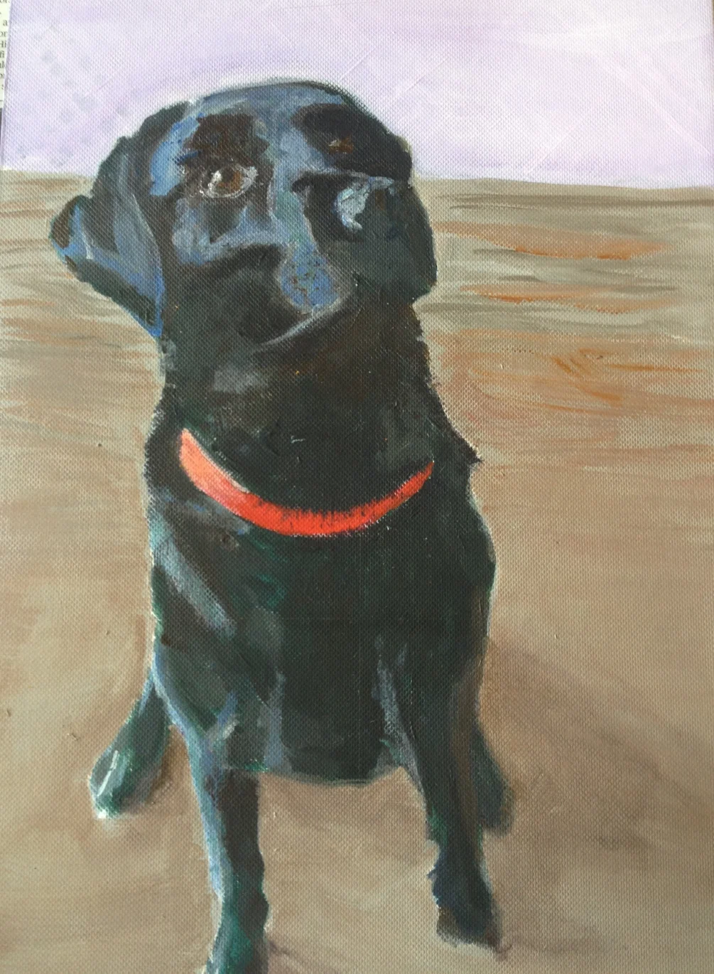 frances' pet dog frances' pet dog