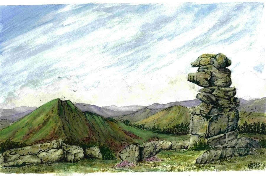 dartmoor stone dartmoor stone