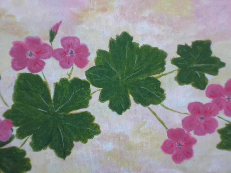 Garden Geraniums pink Garden Geraniums pink
