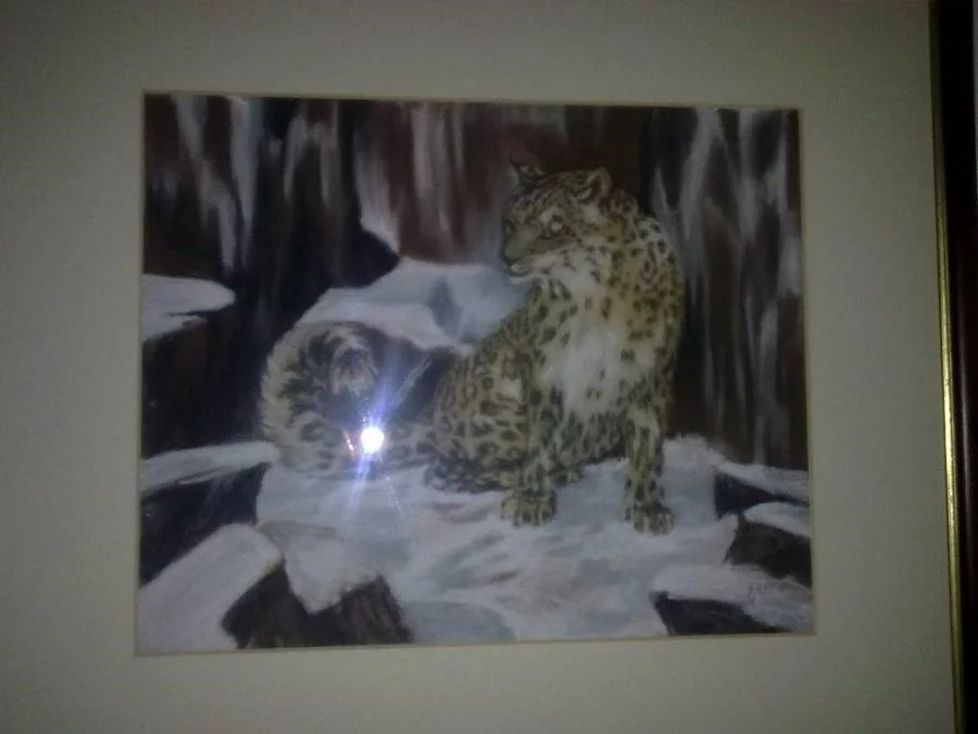 Snow Leopard Snow Leopard
