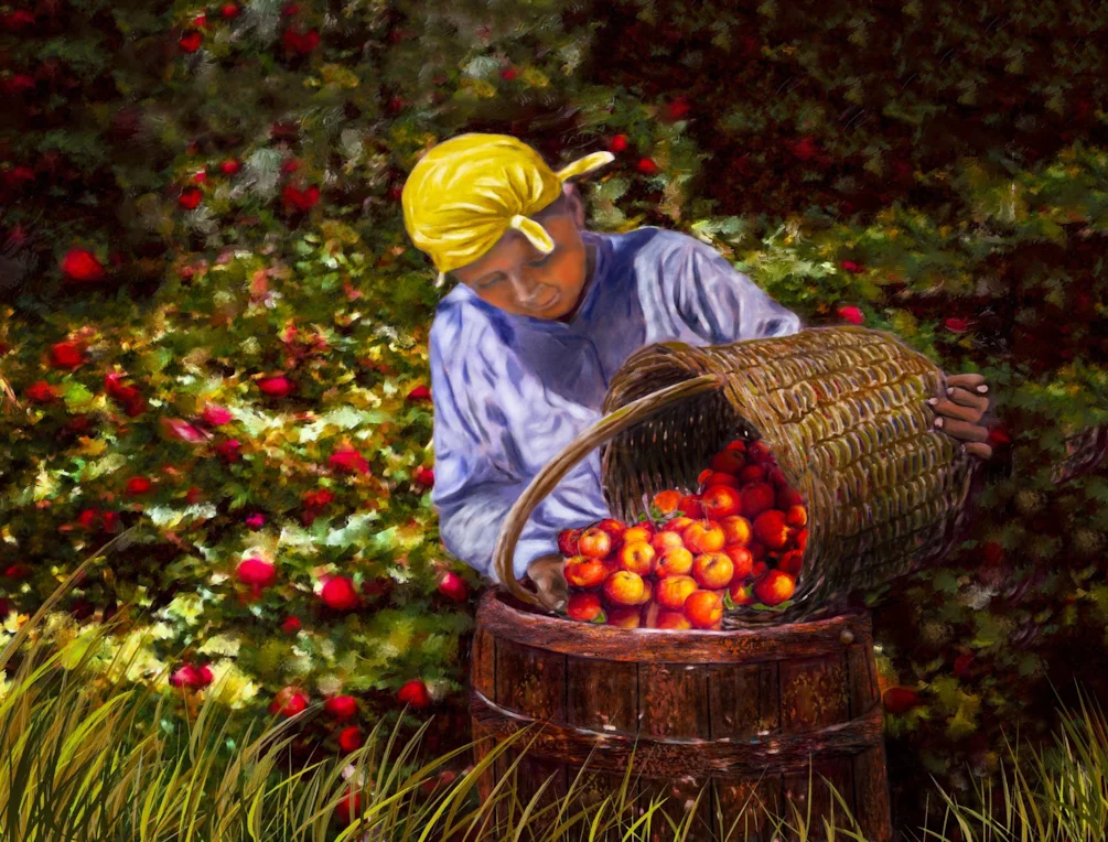 The Apple Picker The Apple Picker