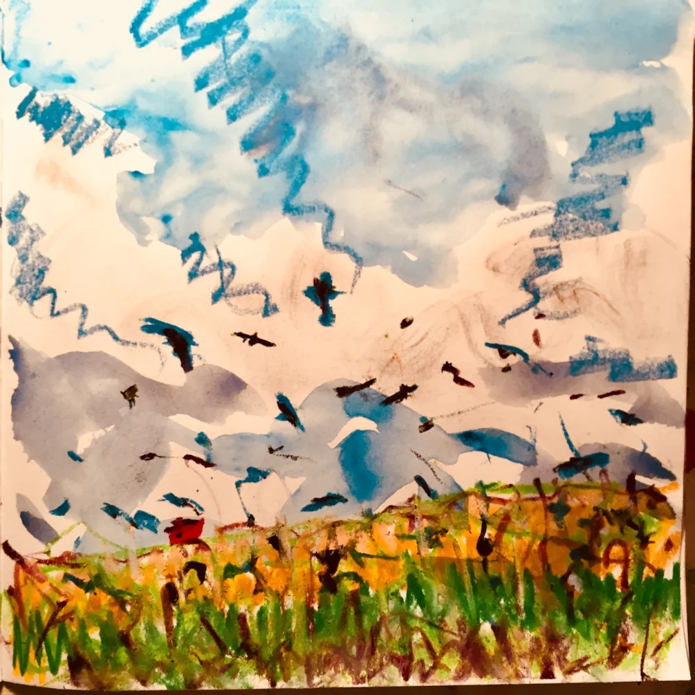 Crows in a wheatfield Crows in a wheatfield