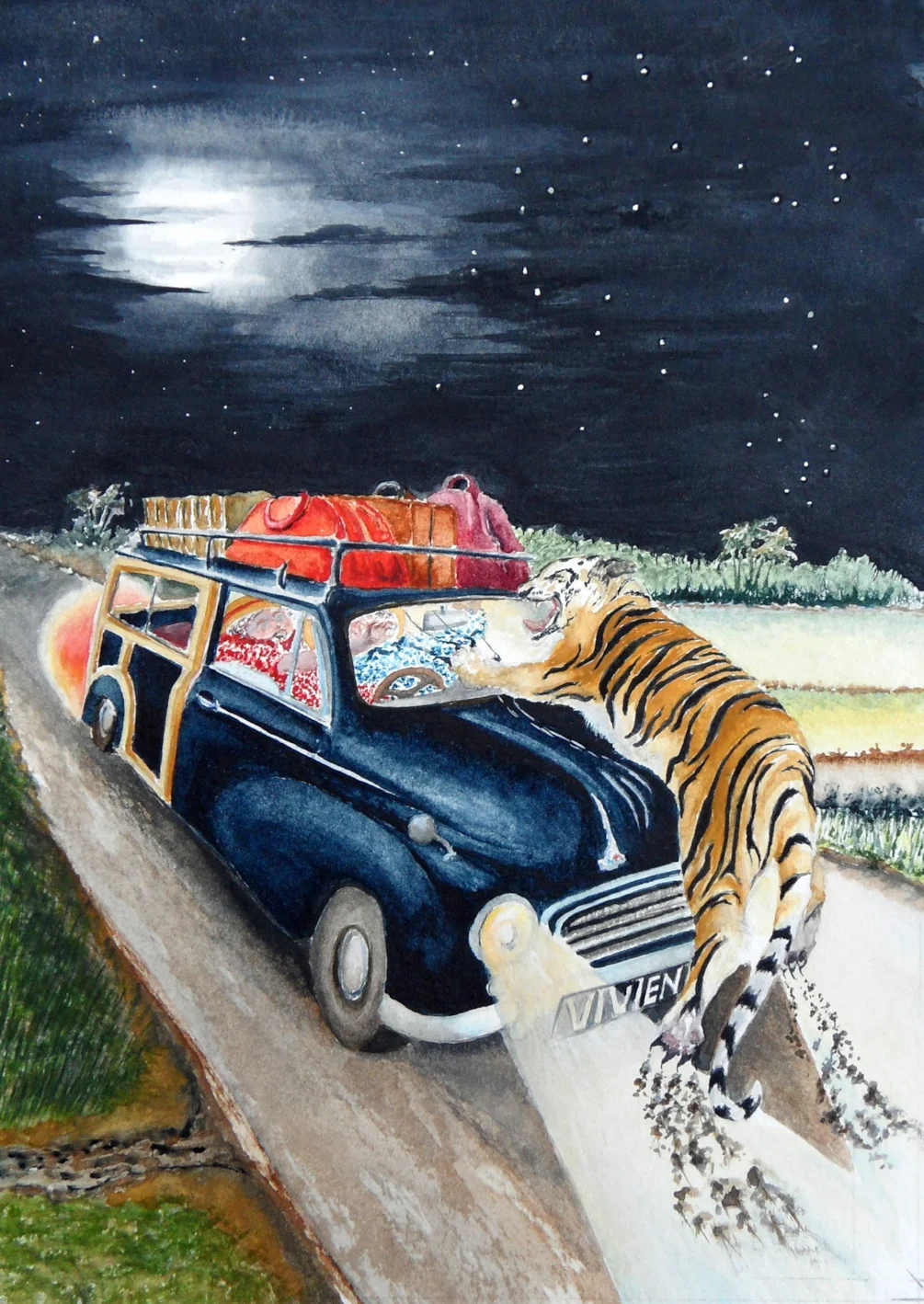 'One Giant Leap For Nankind':- Rear Cover Artwork for Peshwari Nans Novel the Sequel 'One Giant Leap For Nankind':- Rear Cover Artwork for Peshwari Nans Novel the Sequel