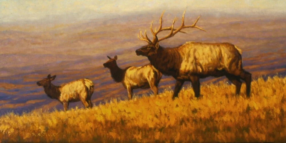 Elk Ridge Elk Ridge