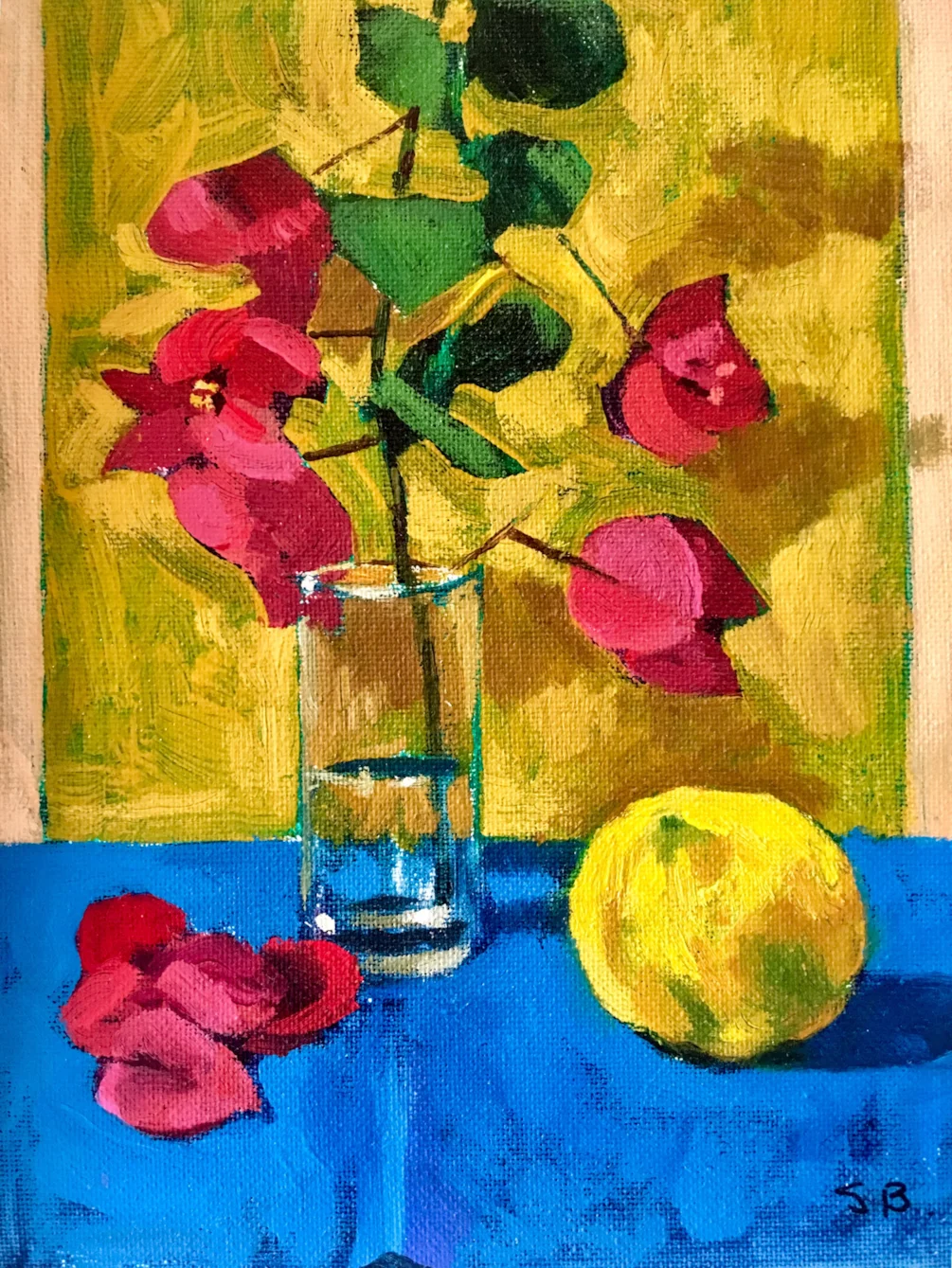 ‘Bougainville with Lemon’ ‘Bougainville with Lemon’