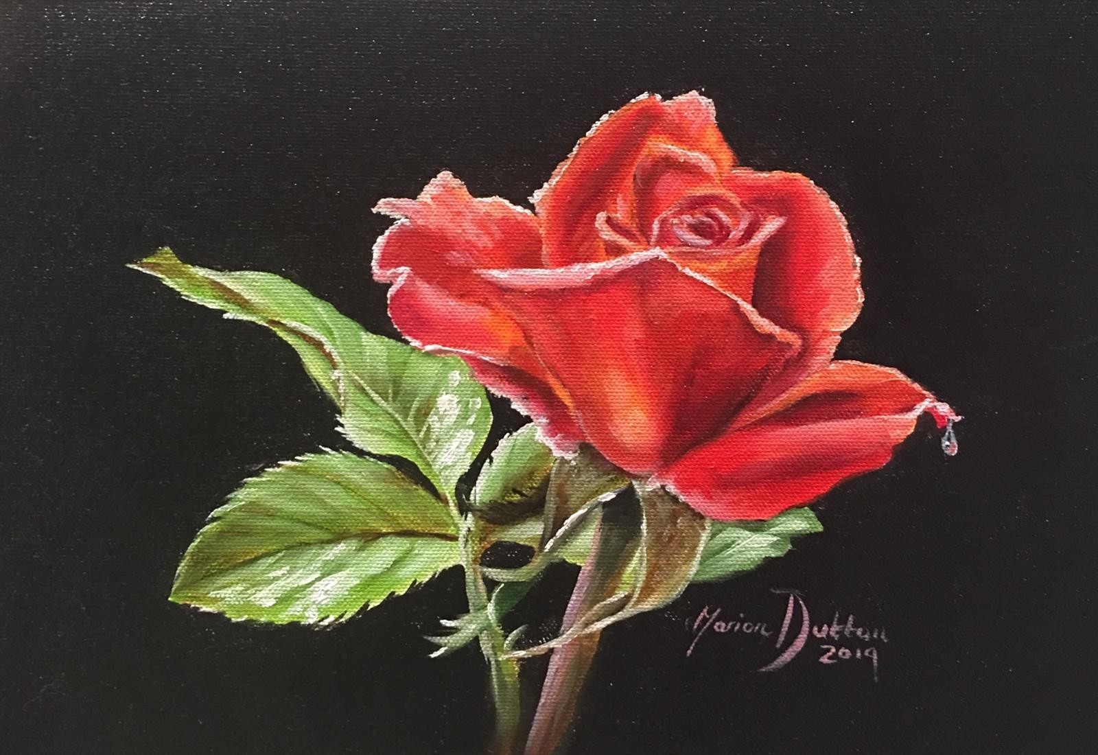 The Valentine's Rose - Oil over Acrylic