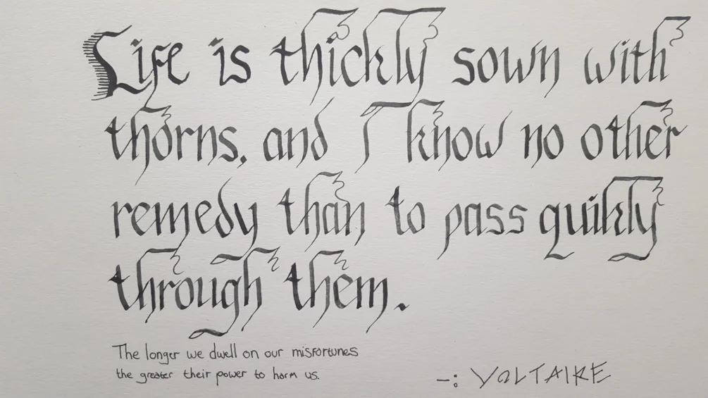 Voltaire Voltaire