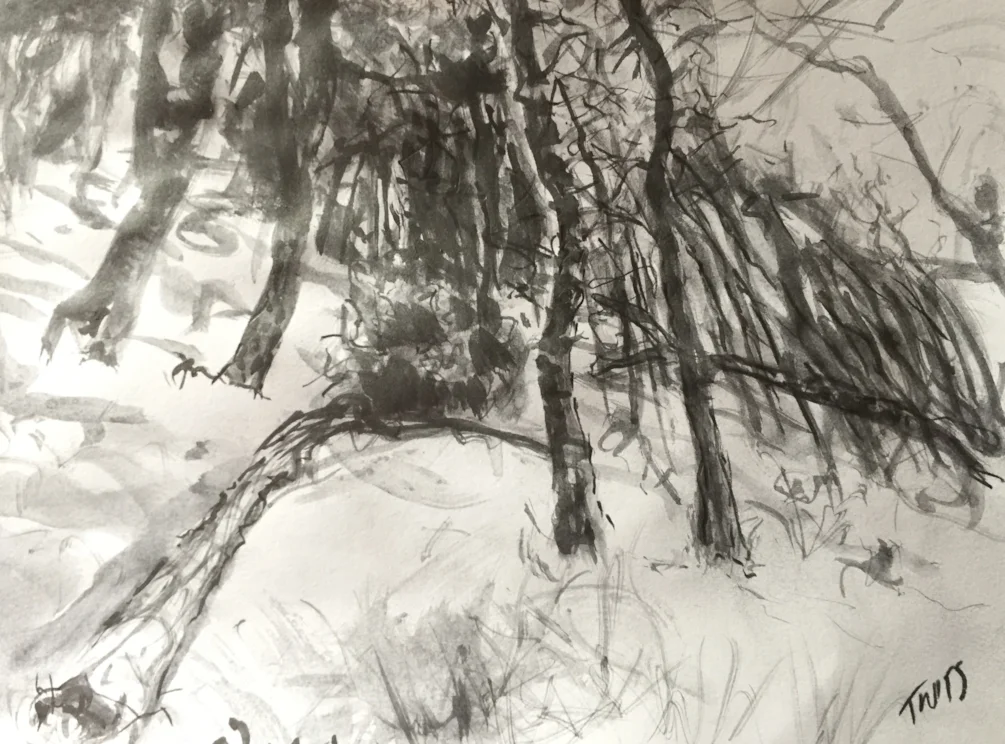 Roaches Woods Roaches Woods
