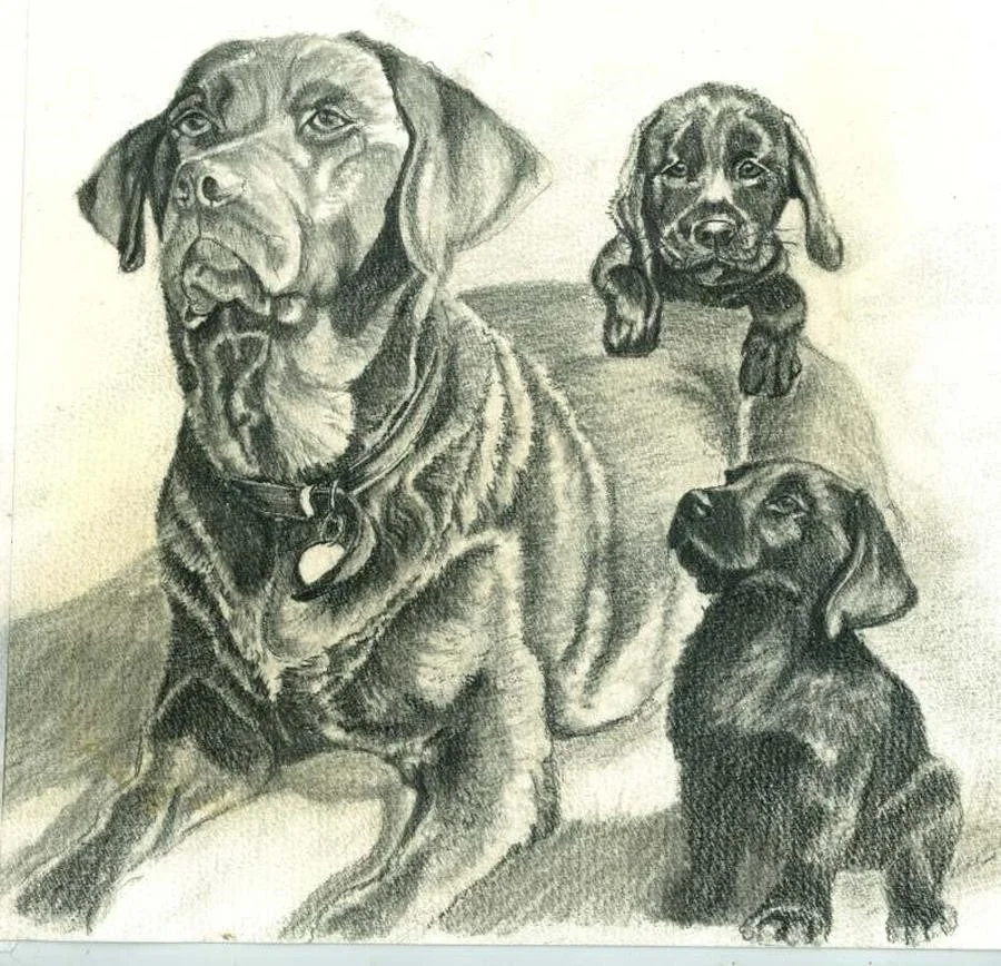 TILLY & PUPS TILLY & PUPS
