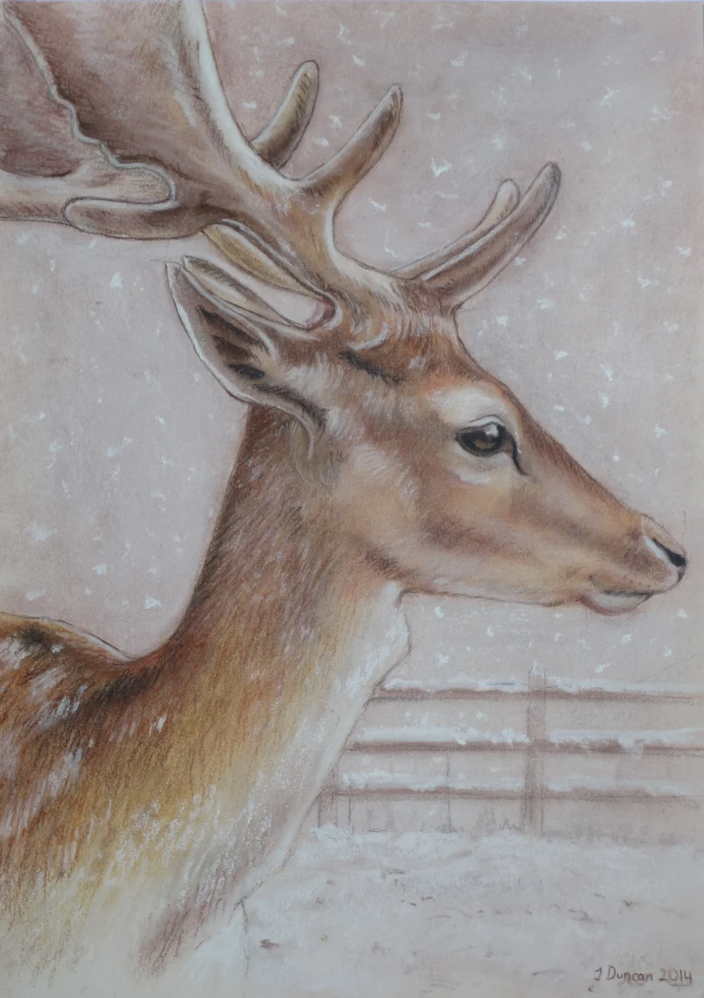 Winter Wonder Winter Wonder