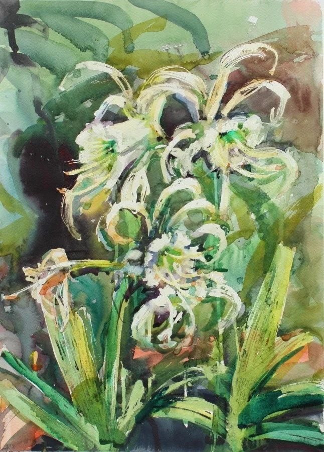 Spider Lilies Spider Lilies