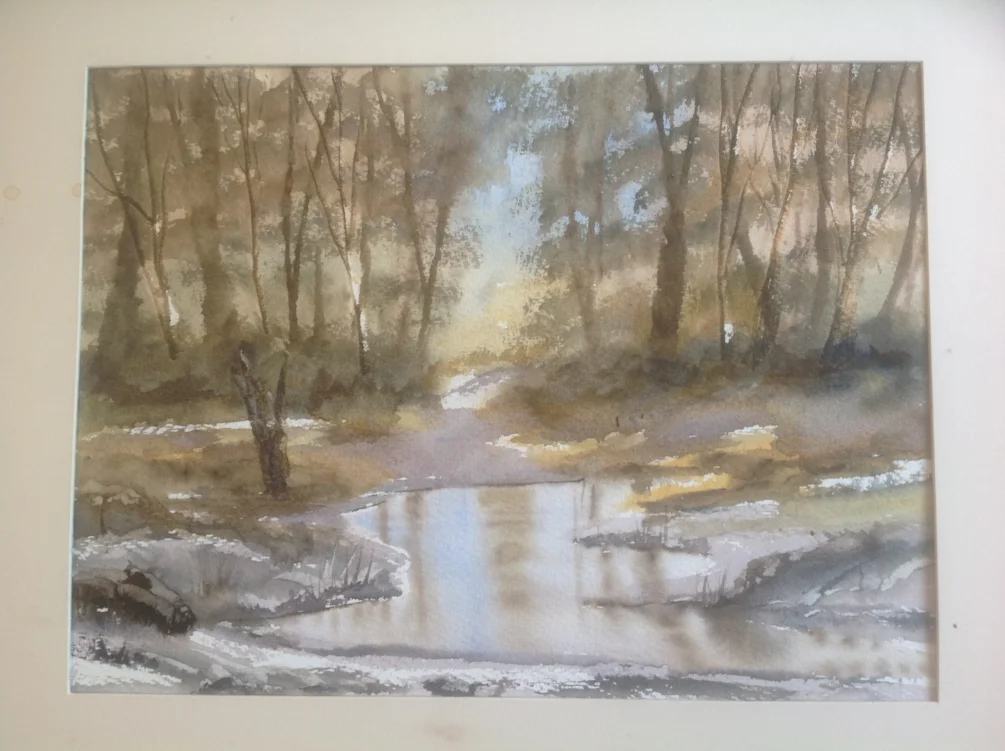 Woodland pond Woodland pond