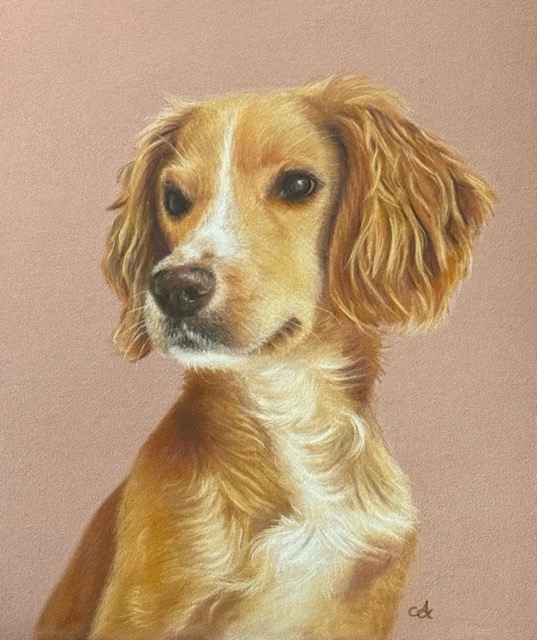 2543 - Dog 41 - Obi (2025) [commission] Medium