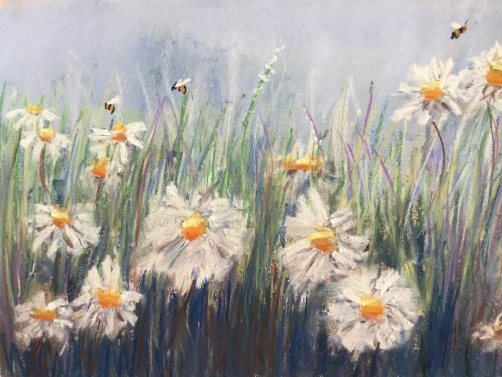 Daisies Daisies