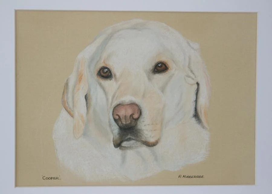 'Cooper' 'Cooper'
