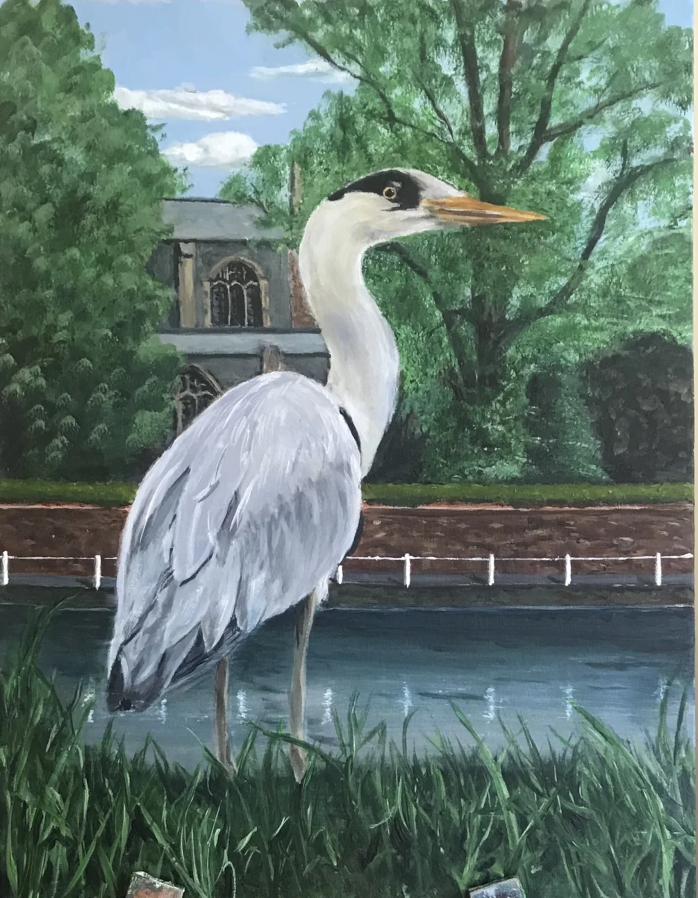 Heron on Carshalton Ponds Heron on Carshalton Ponds