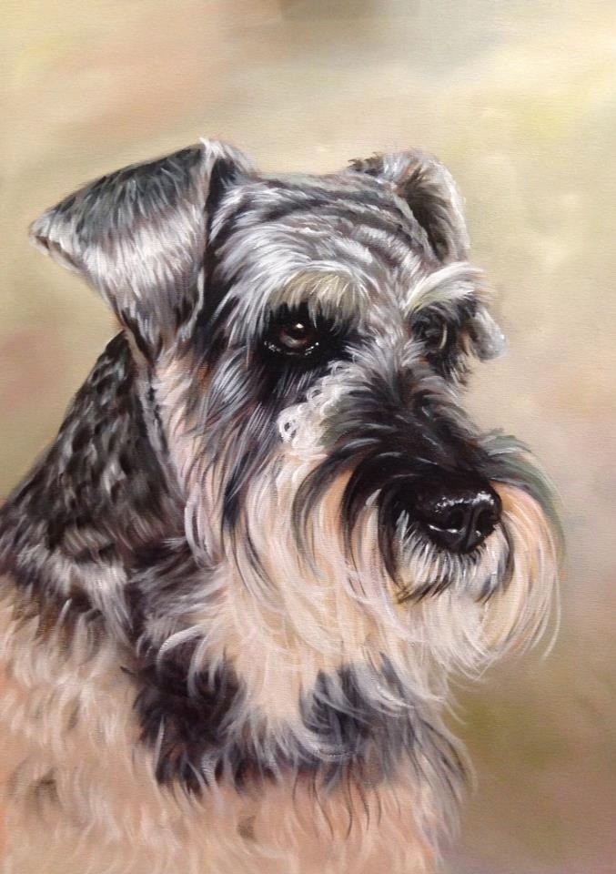 Salt &amp; Pepper Standard Schnauzer - Oils