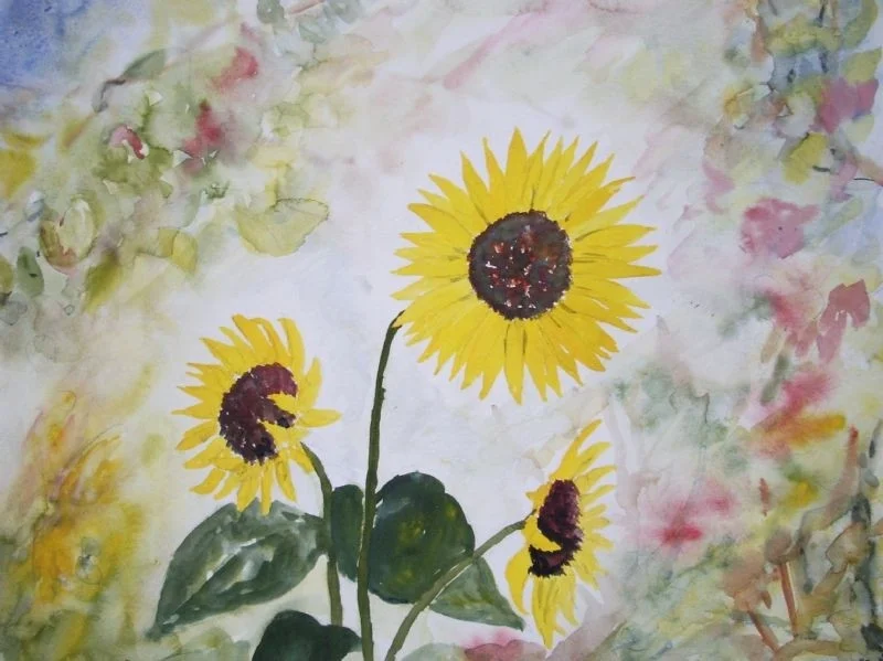 Sunflowers Sunflowers