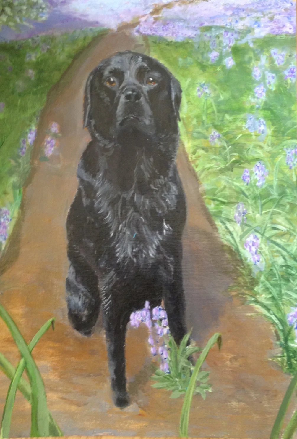 Bodhi, after cropping. Bodhi, after cropping.