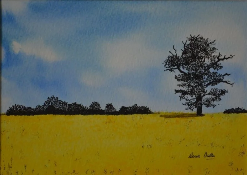 Rapeseed field Rapeseed field