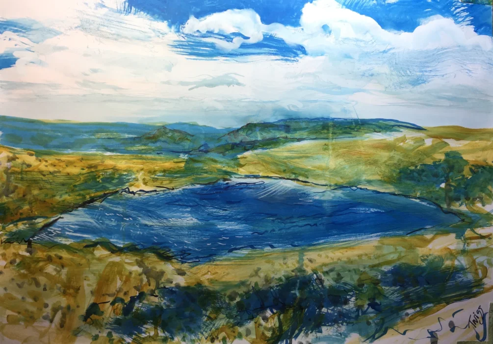 The Roaches from the Mermaids pool in blue white and gold. The Roaches from the Mermaids pool in blue white and gold.