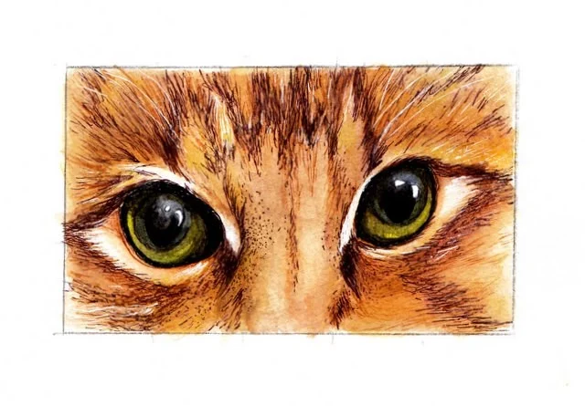 Cat's Eyes Cat's Eyes