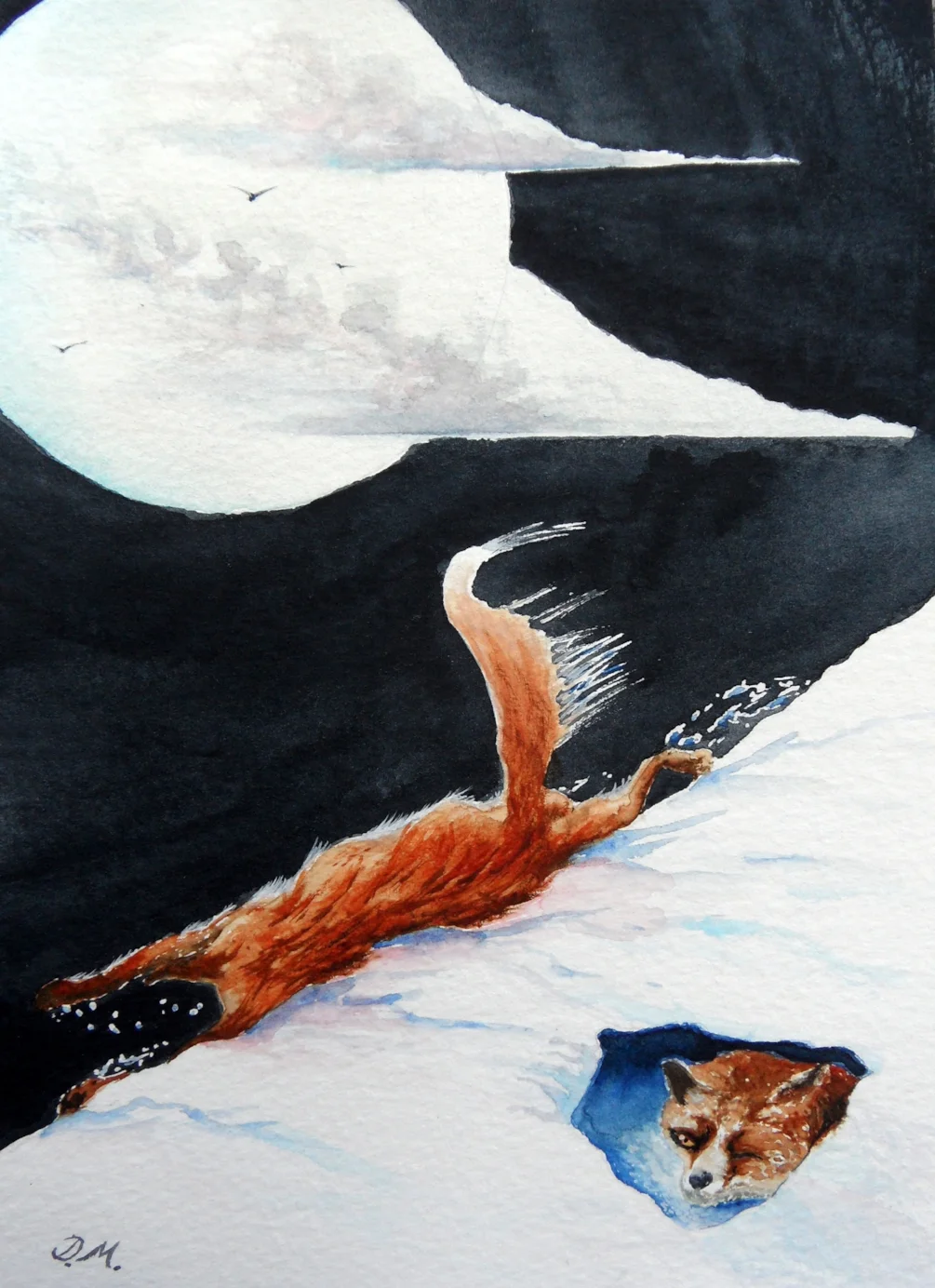 Fox Showing Off In The Moonlight Fox Showing Off In The Moonlight