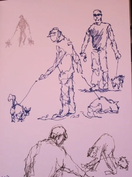 dog walkers dog walkers